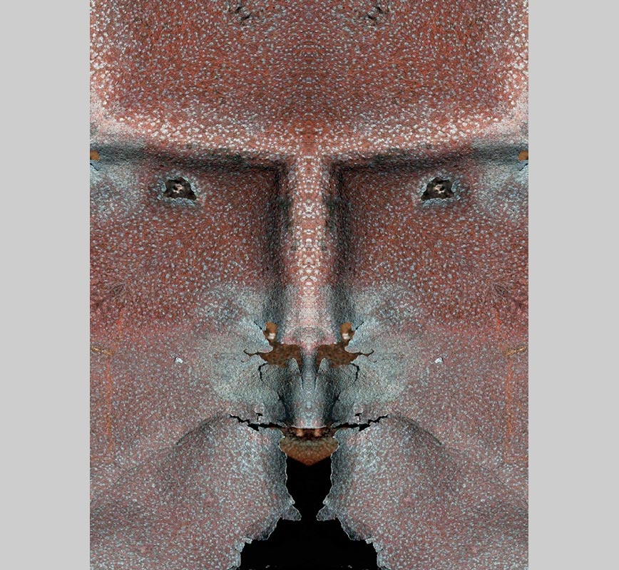 Expressionistic specular photo assemblage, limited edition print. Title: Creature #14