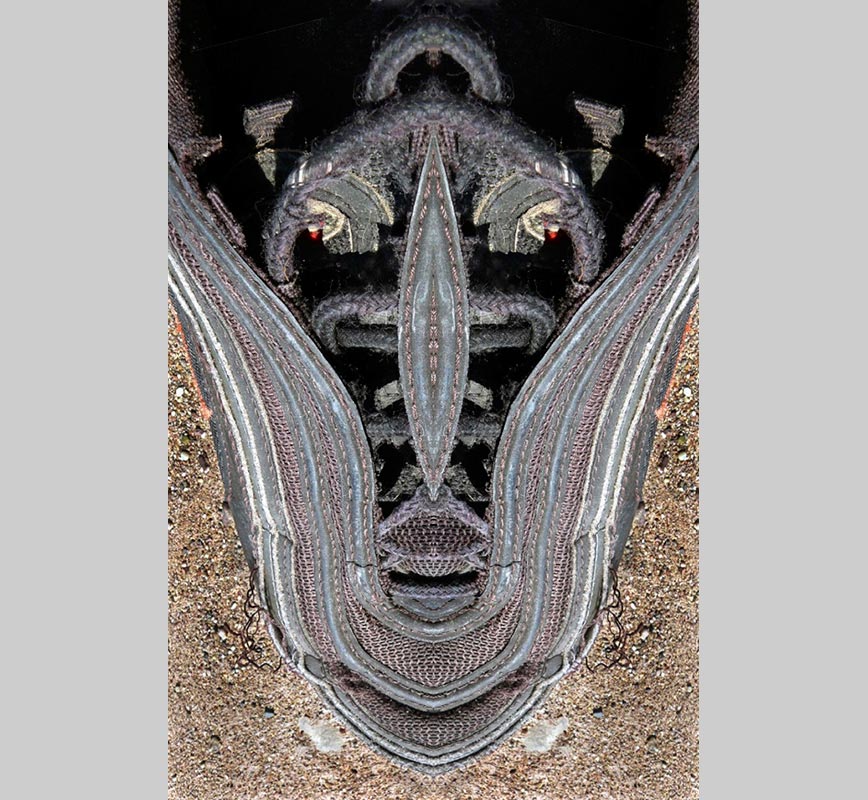 Expressionistic specular photo assemblage, limited edition print. Title: Creature #18
