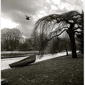 Black and white photograph of a park in London. Limited edition print. Title: London, 1960s