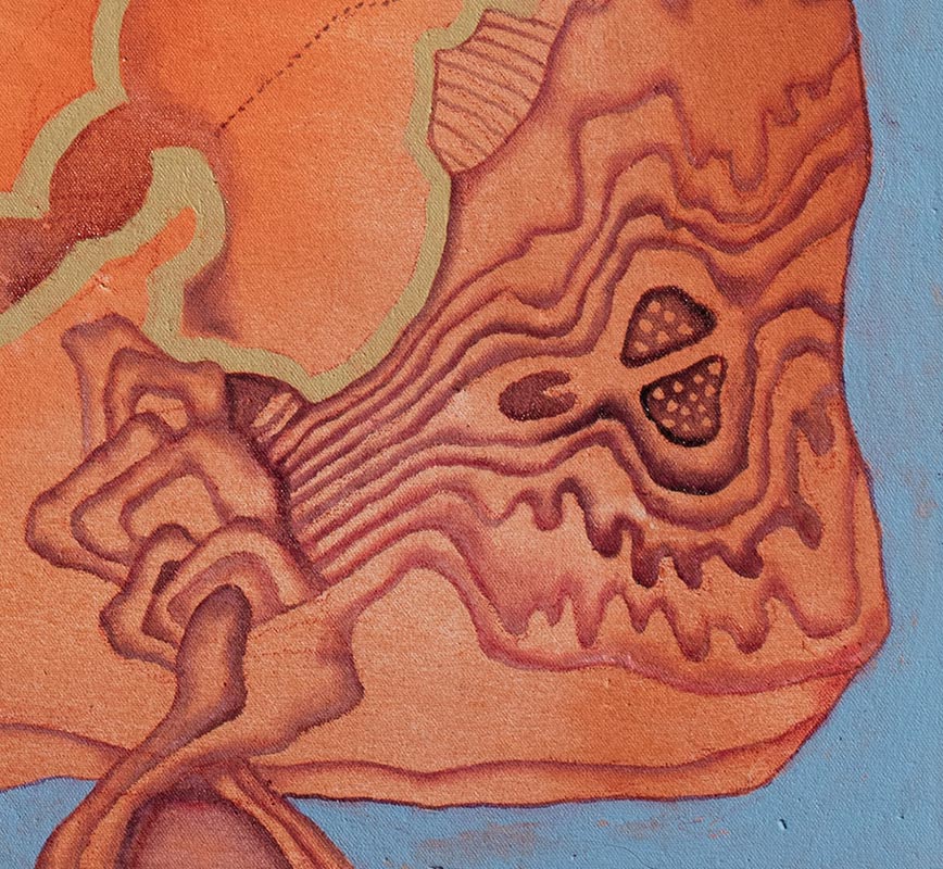 Detail of Abstract painting with reference to geology and biology. Mainly orange colors. Title: Signs. Alive