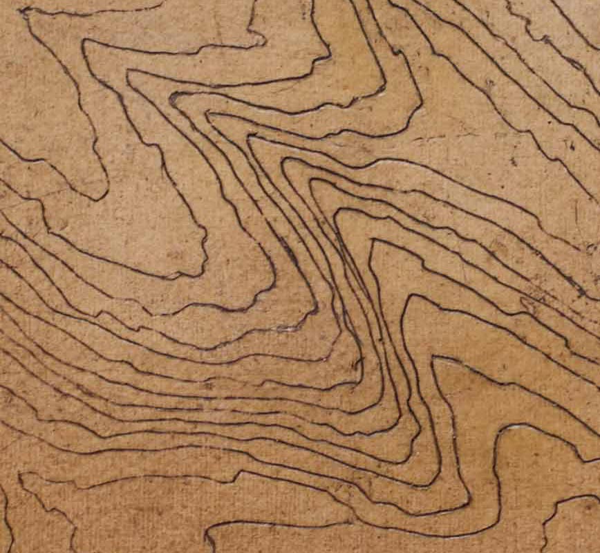 Detail of Abstract painting with topographic map. Earth colors. Title: Contour Series – Wave Hill