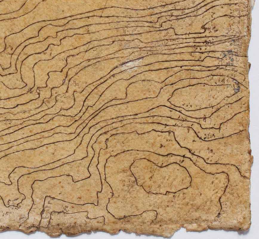 Detail of Abstract painting with topographic map. Earth colors. Title: Contour Series – Wave Hill