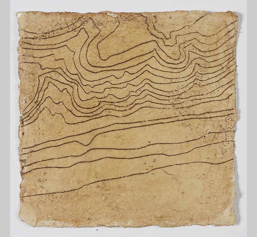 Detail of Abstract painting with topographic map and geometric pattern. Earth colors. Title: Wave Hill – Contours in 16 Parts